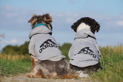 ADIDOG™ HOODIE