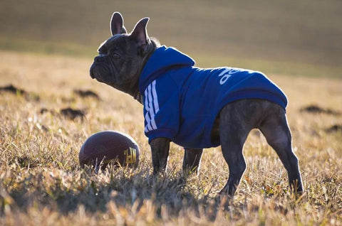 ADIDOG™ HOODIE