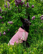 ADIDOG™ HOODIE